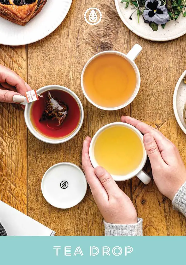 Tea Drop Brochure 2022_01.webp